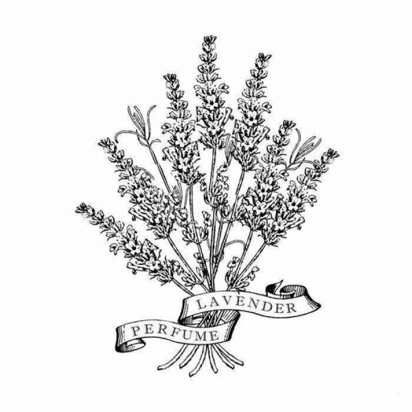 Раскраска в стиле Прованс