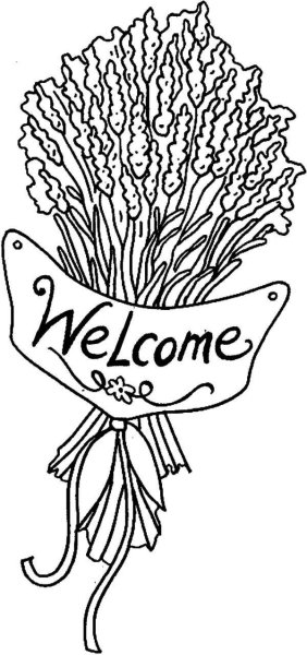 Раскраска цветы Лаванда