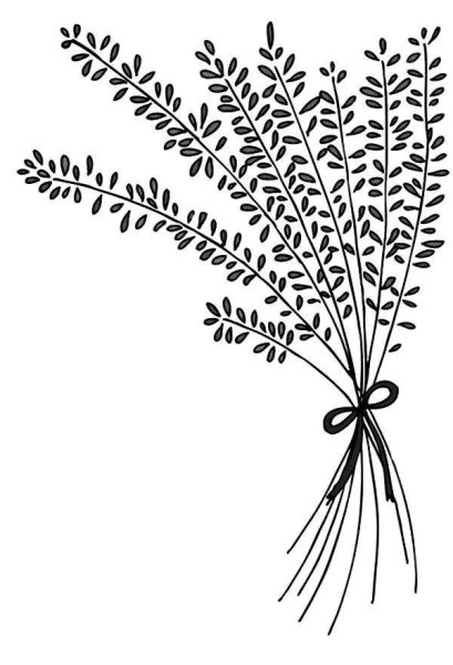 Ветка лаванды силуэт