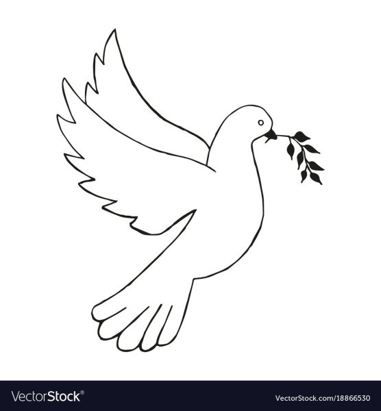 Голубь с веточкой трафарет
