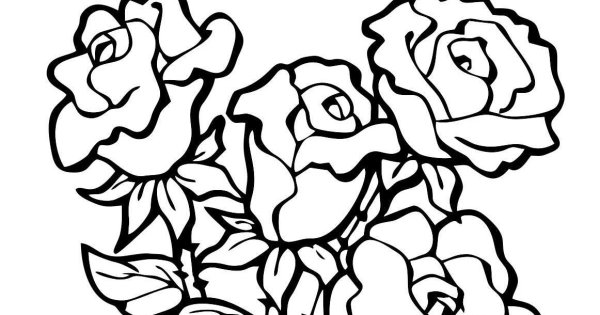 Раскраска цветы на клумбе