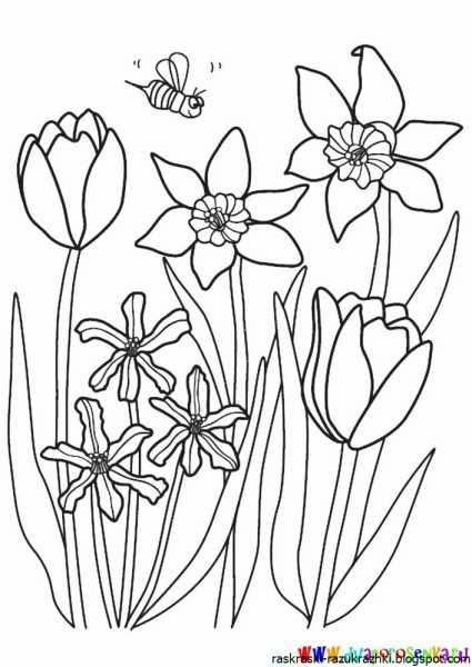Весенние цветы раскраска для детей