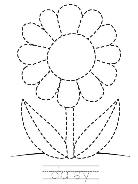Цветы обведи по точкам для дошкольников