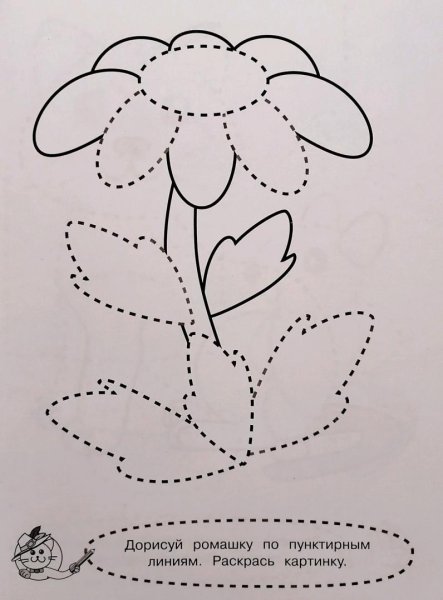 Цветы пунктирными линиями