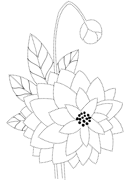 Цветы для обводки