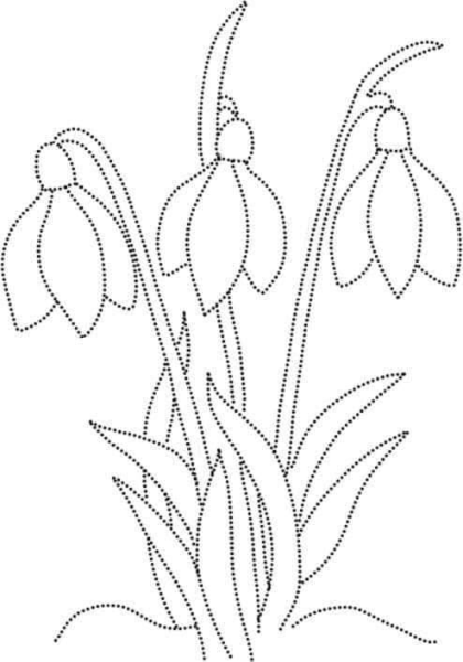 Раскраска обводилка весенний букет
