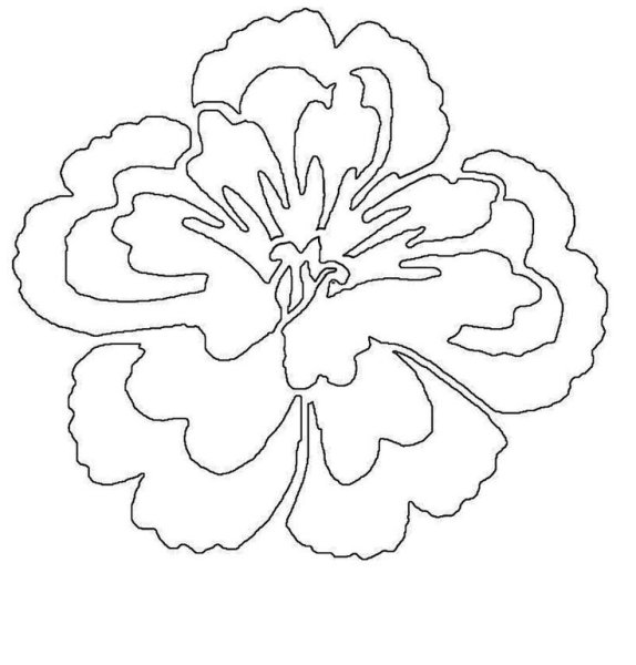 Трафареты на окна цветы для вырезания