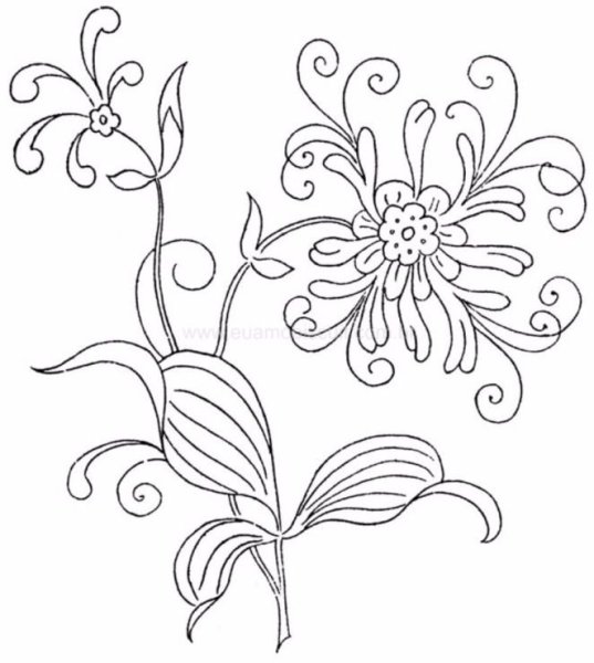 Фантастические цветы рисование старшая группа