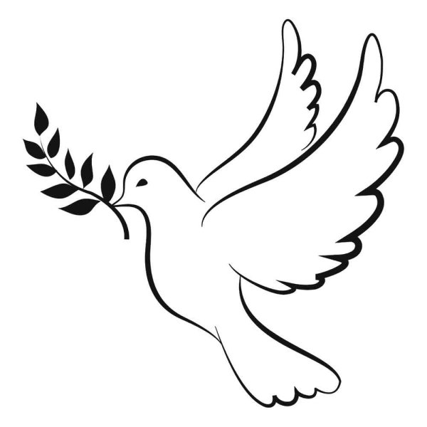 Голубь мира к 9 мая
