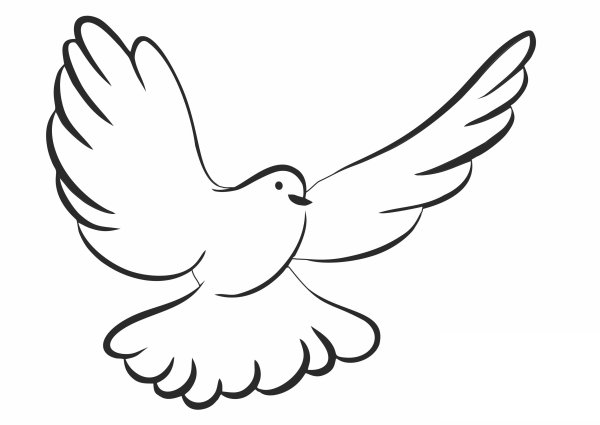 Трафарет голубя