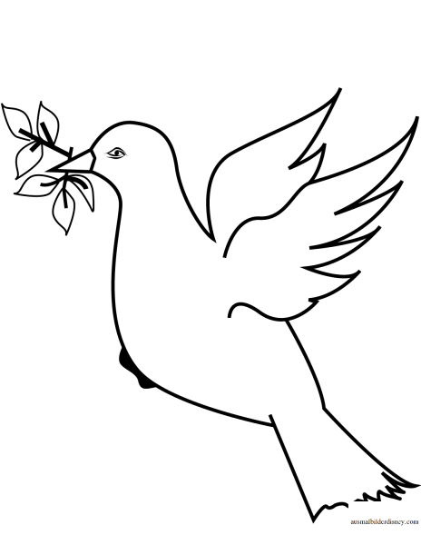 Голубь для раскрашивания детям