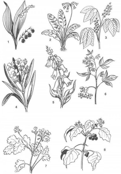 Ядовитые растения