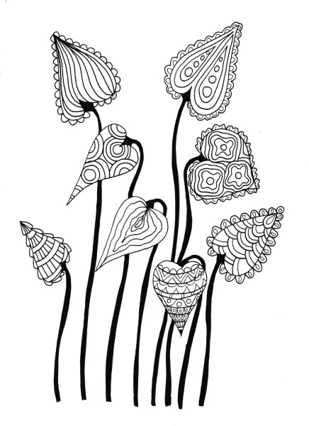 Зенарт цветы