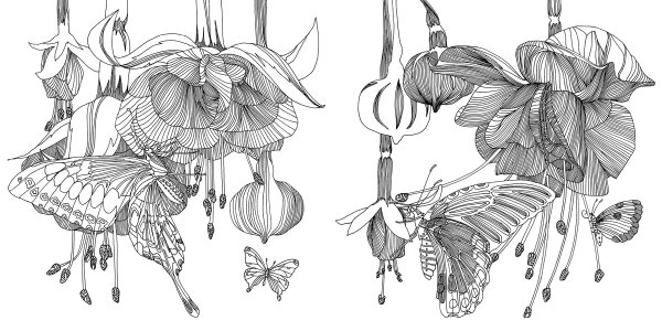 Раскраска антистресс "цветы"