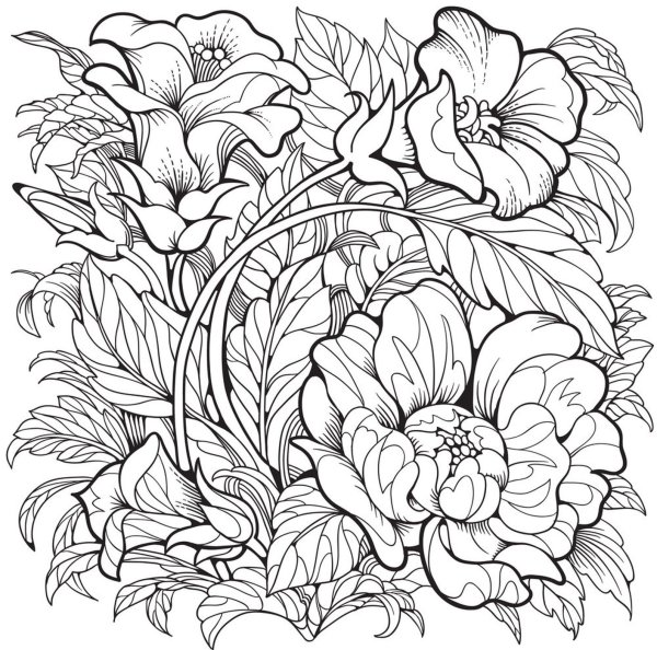 Цветы для раскрашивания для взрослых