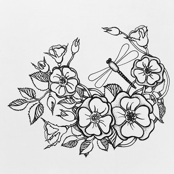 Цветочная композиция карандашом