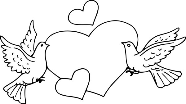 Голубь раскраска для детей