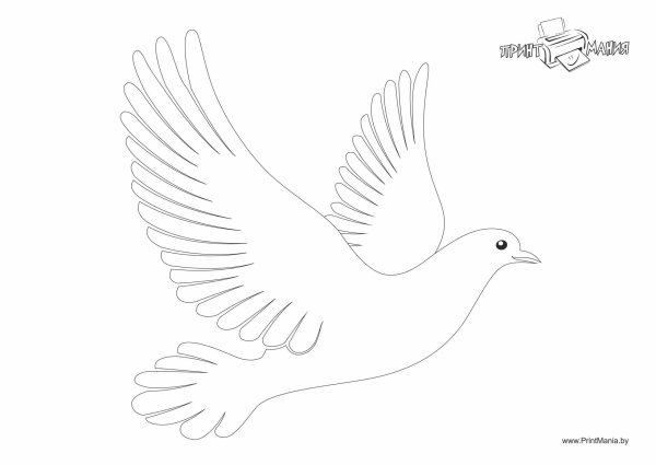 Голуби шаблоны для вырезания