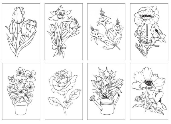 Цветы. Раскраска