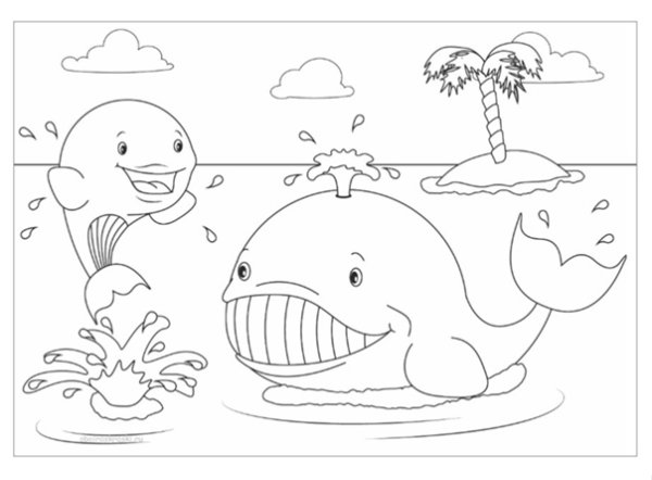 Раскраска кит и Дельфин