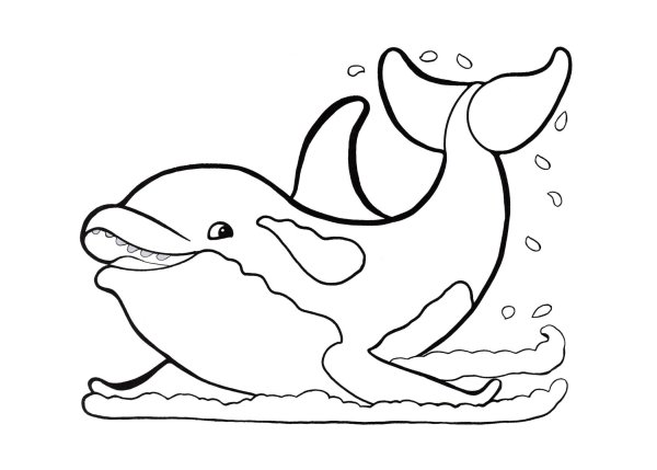 Раскраска Дельфин