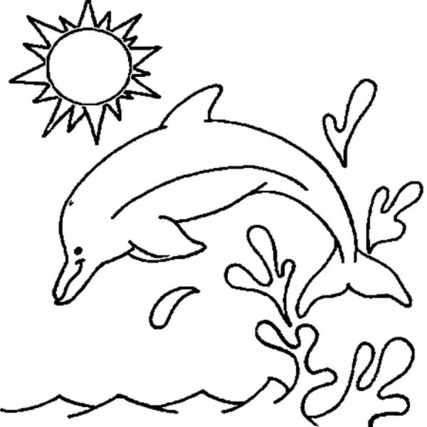 Раскраска киты и дельфины