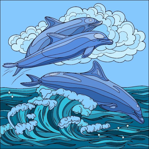 Раскраска киты и дельфины