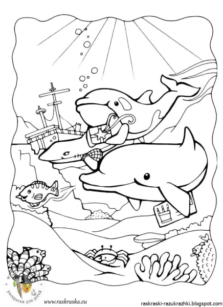 Раскраска Дельфин