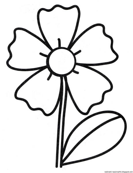Раскраска цветочек