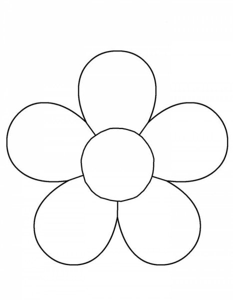 Раскраски для малышей. Ромашка