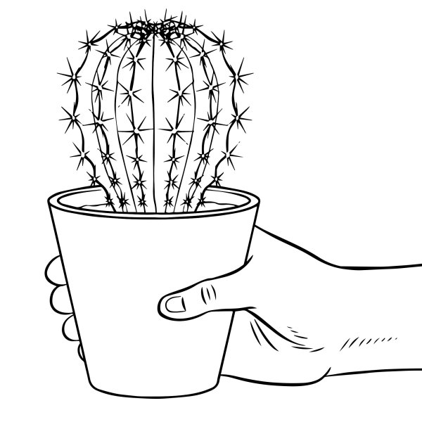 Круглый Кактус в горшке раскраска