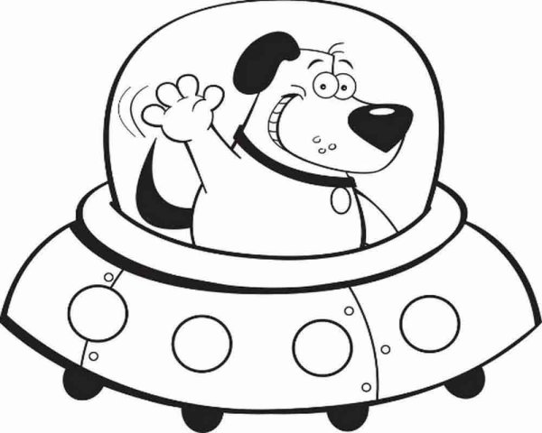 Собаки космонавты