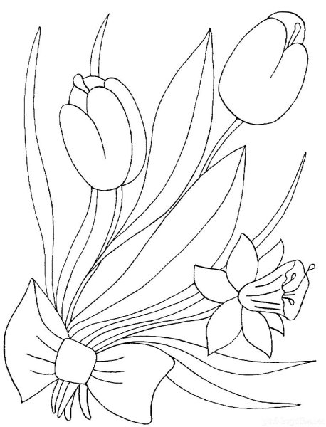 Весенний букет раскраска