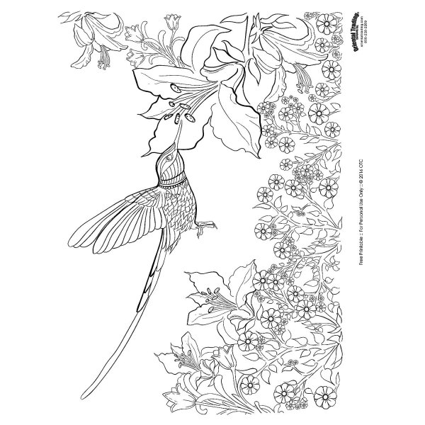 Раскраски антистресс птицы и цветы