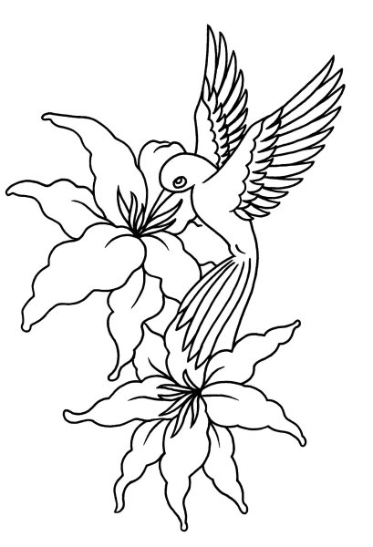 Трафарет цветов с птицами
