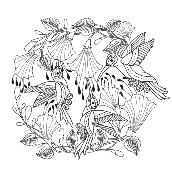 Мандала Колибри раскраска для взрослых