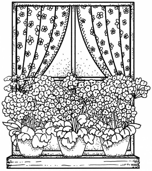 Раскраска цветы на клумбе