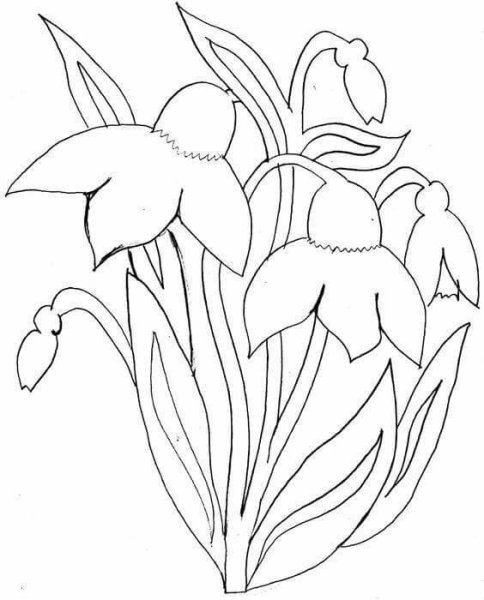 Трафарет подснежника