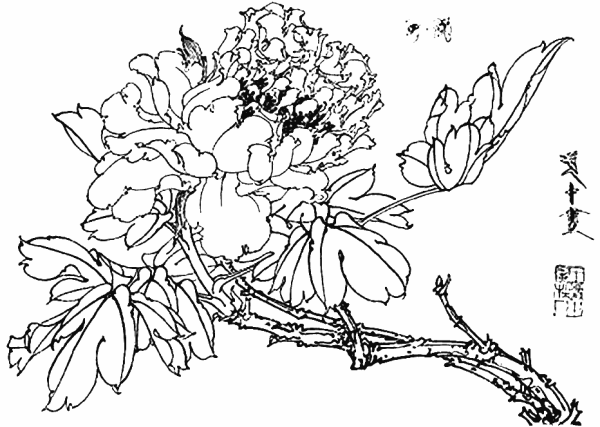 Японские цветы раскраска