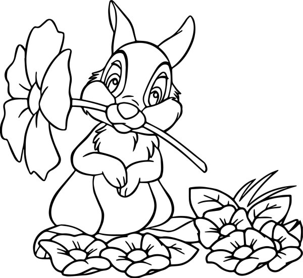 Зайчик с цветами раскраска