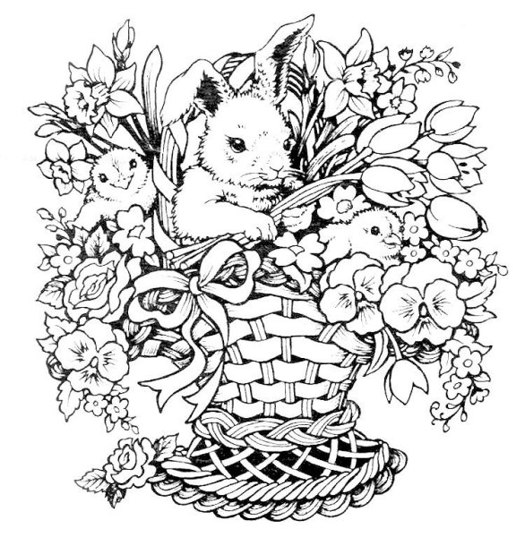 Раскраска для взрослых кролик