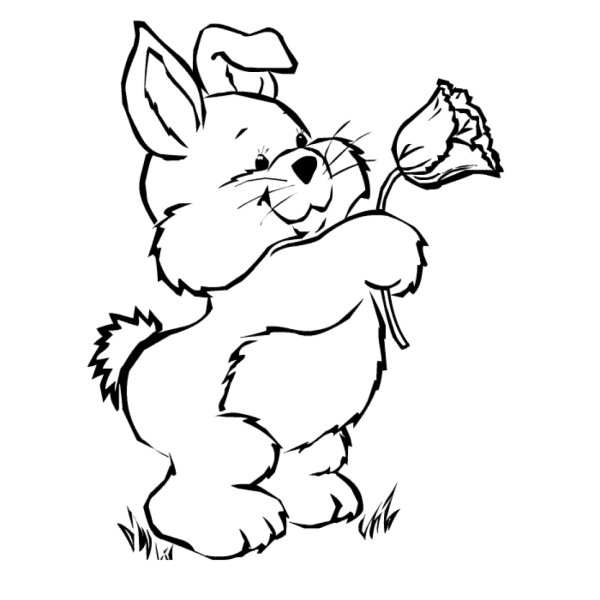 Раскраска зайчик