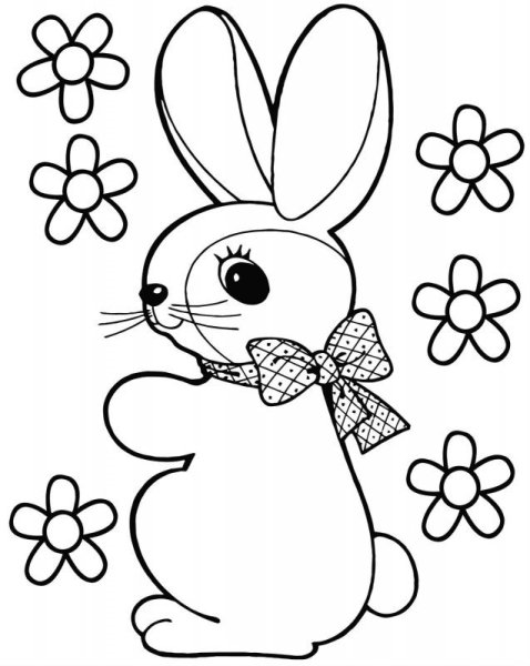 Раскраска зайчик с бантиком