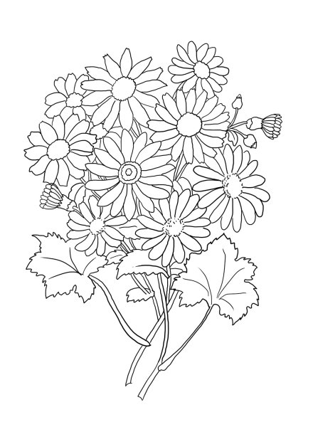 Букет из ромашек раскраска