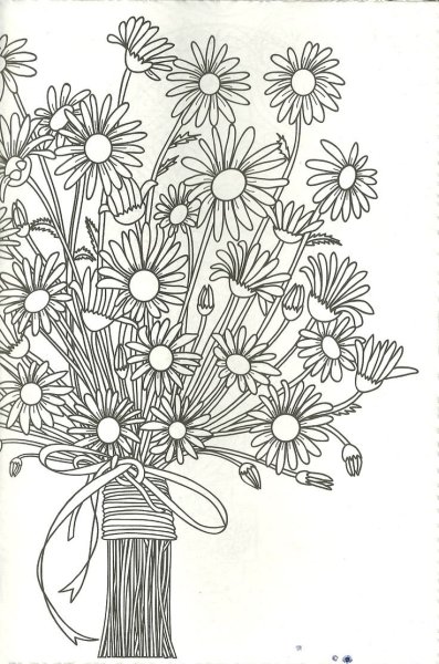 Букет ромашек рисунок