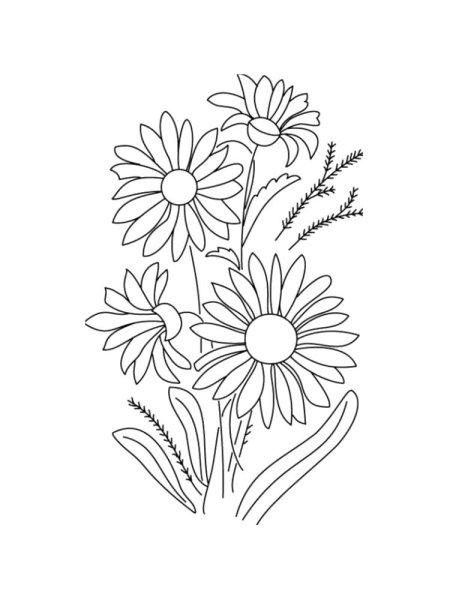 Раскраска цветок Ромашка