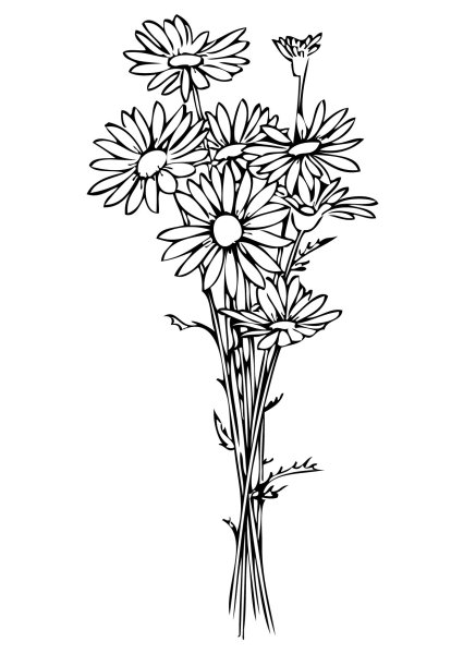 Букет полевых цветов карандашом