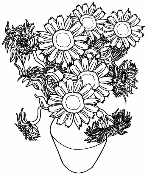 Букет подсолнухов карандашом