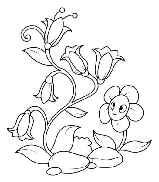 Цветы. Раскраска