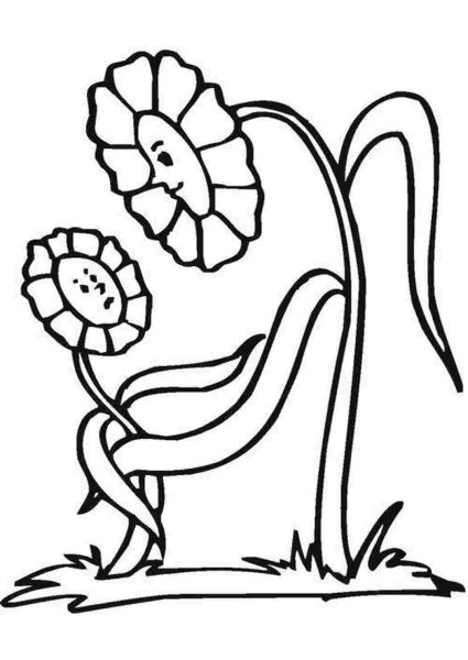 Раскраска цветочки большие и маленькие